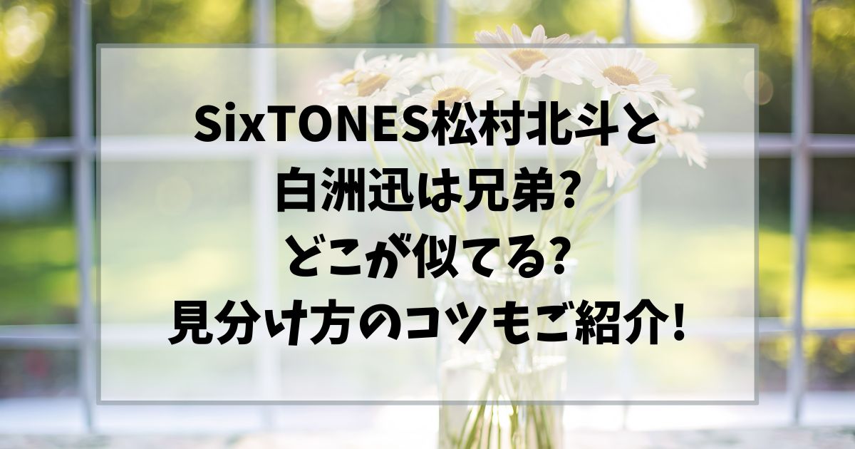 白洲迅と松村北斗は兄弟?どこが似てるか見分け方のコツもご紹介!