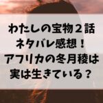 わたしの宝物２話ネタバレ感想！アフリカの冬月稜は実は生きている？