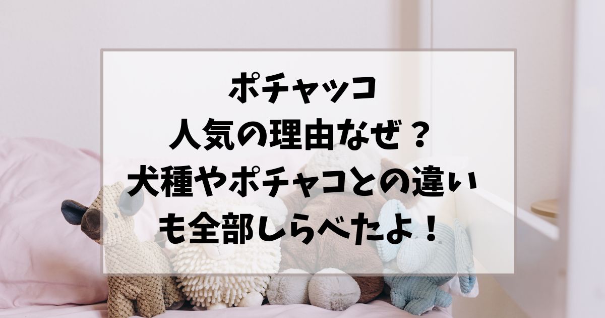 ポチャッコが人気の理由なぜ？犬種やポチャコとの違いもご紹介！