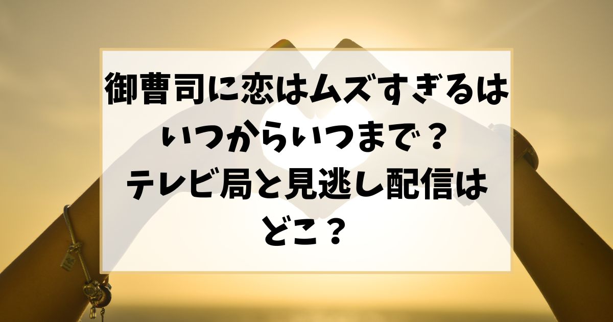 御曹司に恋はムズすぎるはいつからいつまで？テレビ局と見逃し配信はどこ？